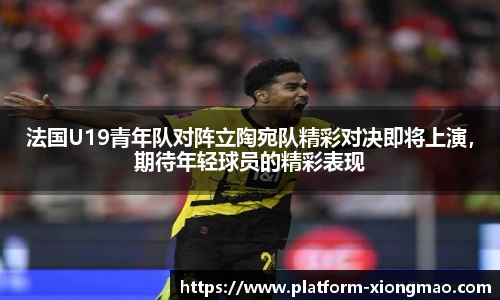 法国U19青年队对阵立陶宛队精彩对决即将上演，期待年轻球员的精彩表现